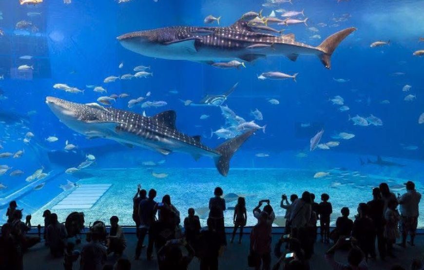 Thailand Tour Package